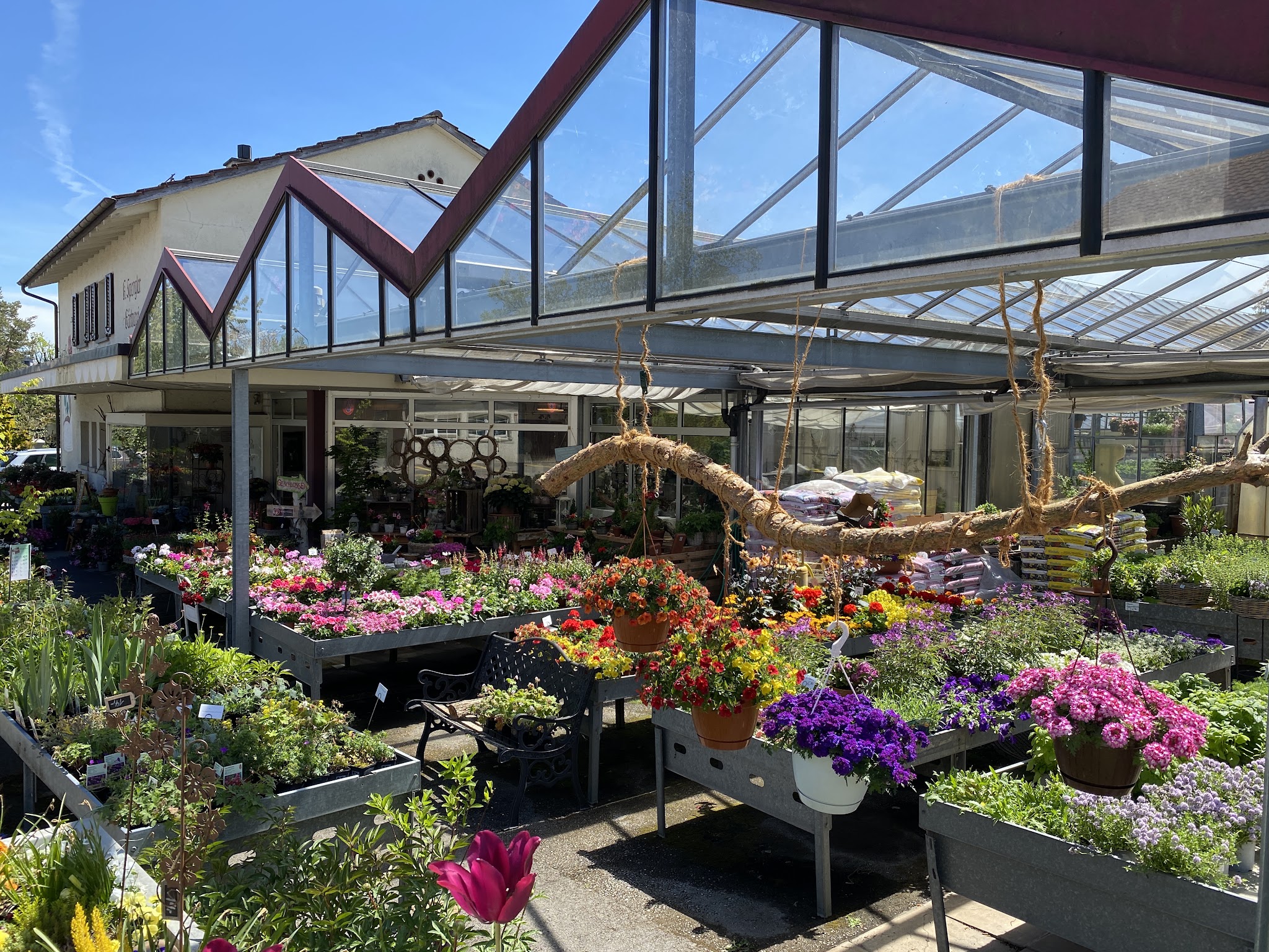 Aussenansicht von Blumen Spengler AG in Greifensee