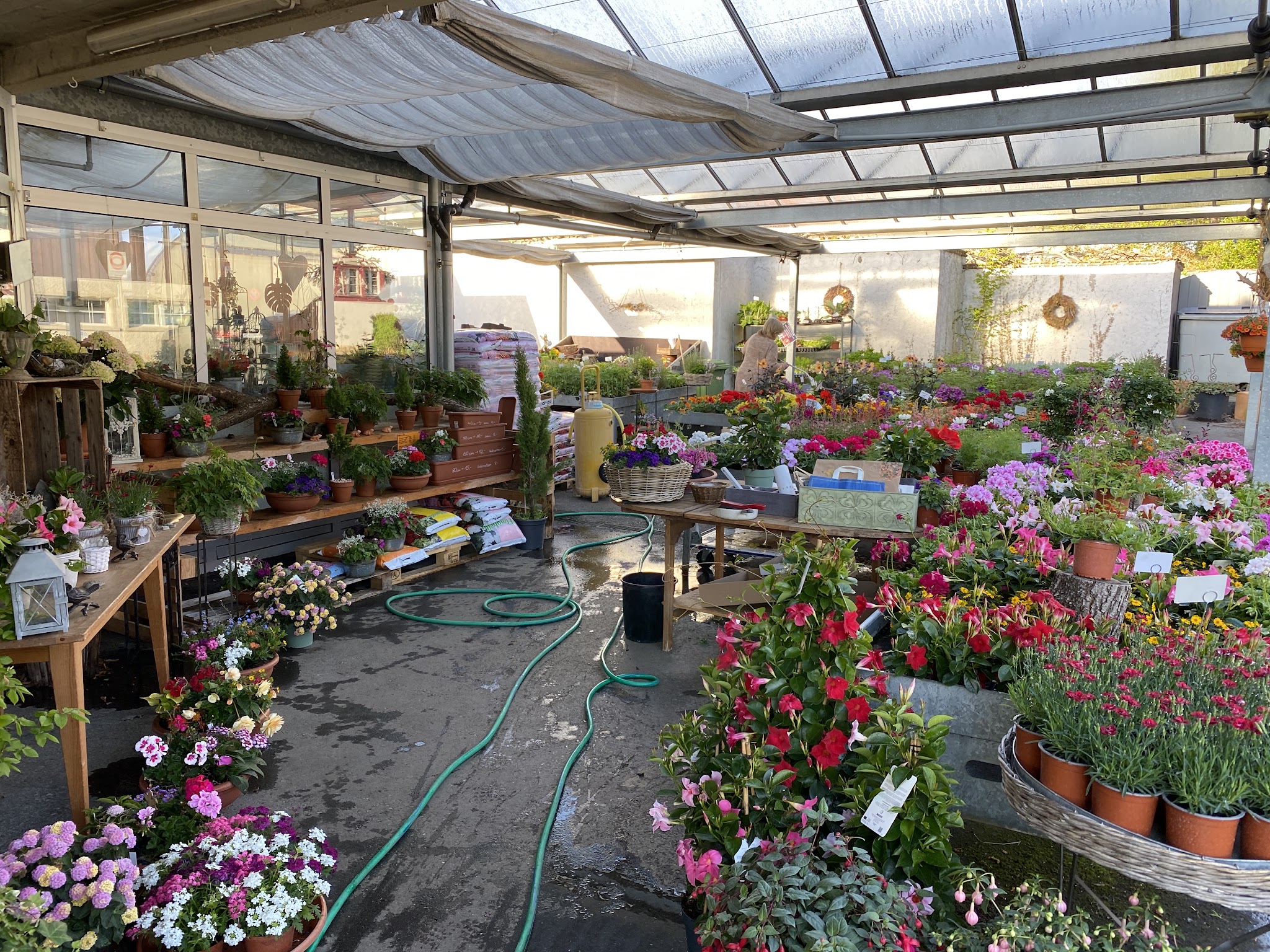 Gartenbau & Gartenpflege
